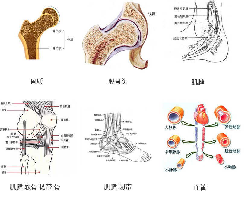 未標題-3